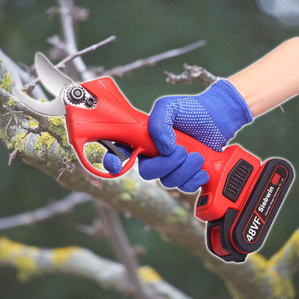 WHIZZPRUNER